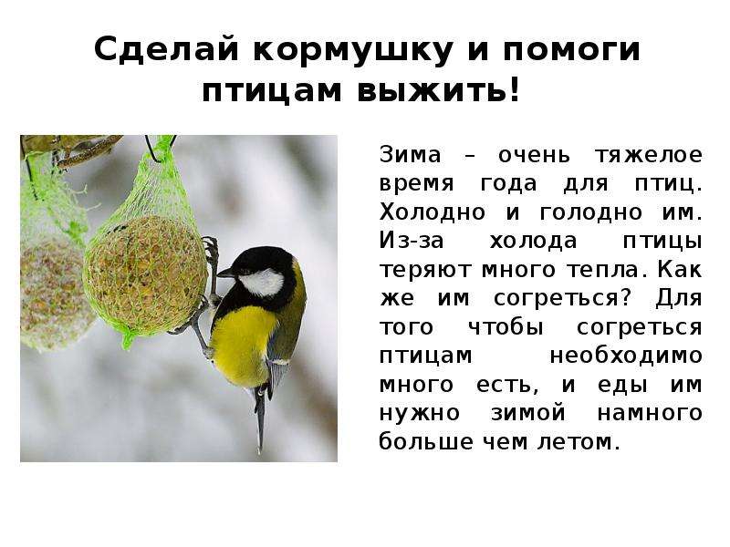 Проект 2 класс литературное чтение спасите птиц